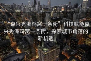 “嘉興秀洲雞窩一條街”科技賦能嘉興秀洲雞窩一條街，探索城市角落的新機(jī)遇
