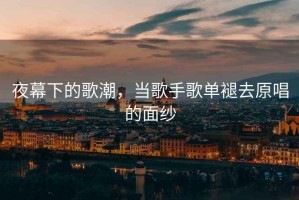 夜幕下的歌潮，當(dāng)歌手歌單褪去原唱的面紗