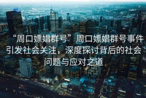 “周口嫖娼群號(hào)”周口嫖娼群號(hào)事件引發(fā)社會(huì)關(guān)注，深度探討背后的社會(huì)問(wèn)題與應(yīng)對(duì)之道