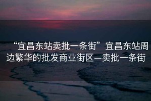 “宜昌東站賣批一條街”宜昌東站周邊繁華的批發(fā)商業(yè)街區(qū)—賣批一條街