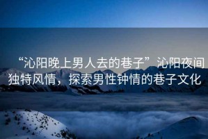“沁陽晚上男人去的巷子”沁陽夜間獨特風(fēng)情，探索男性鐘情的巷子文化