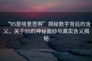 “95是啥意思啊”揭秘?cái)?shù)字背后的含義，關(guān)于95的神秘面紗與真實(shí)含義揭秘