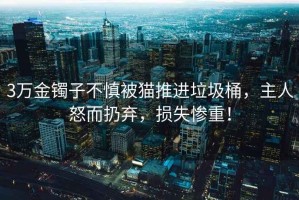 3萬(wàn)金鐲子不慎被貓推進(jìn)垃圾桶，主人怒而扔棄，損失慘重！