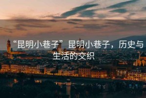 “昆明小巷子”昆明小巷子，歷史與生活的交織