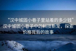 “漢中城固小巷子里站著的多少錢”漢中城固小巷子中的科技新寵，探索價(jià)格背后的故事