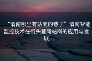 “渭南哪里有站崗的巷子”渭南智能監(jiān)控技術(shù)在街頭巷尾站崗的應(yīng)用與發(fā)展