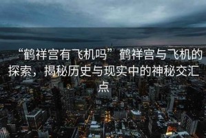 “鶴祥宮有飛機嗎”鶴祥宮與飛機的探索，揭秘歷史與現(xiàn)實中的神秘交匯點