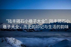 “陸豐碣石小巷子大全”陸豐碣石小巷子大全，歷史的印記與生活的韻味