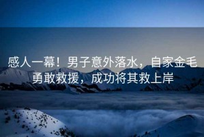 感人一幕！男子意外落水，自家金毛勇敢救援，成功將其救上岸