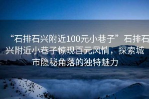 “石排石興附近100元小巷子”石排石興附近小巷子驚現(xiàn)百元風情，探索城市隱秘角落的獨特魅力