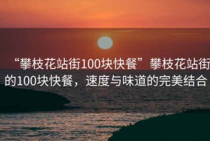 “攀枝花站街100塊快餐”攀枝花站街的100塊快餐，速度與味道的完美結(jié)合