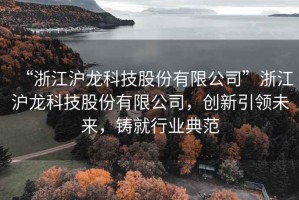 “浙江滬龍科技股份有限公司”浙江滬龍科技股份有限公司，創(chuàng)新引領(lǐng)未來，鑄就行業(yè)典范