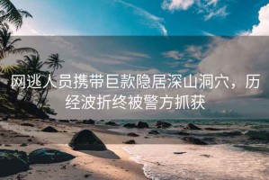 網逃人員攜帶巨款隱居深山洞穴，歷經波折終被警方抓獲