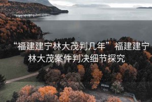 “福建建寧林大茂判幾年”福建建寧林大茂案件判決細節(jié)探究