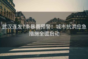 武漢連發(fā)7條暴雨預(yù)警！城市抗洪應(yīng)急措施全面啟動