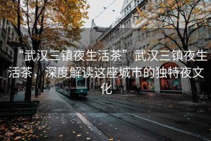 “武漢三鎮(zhèn)夜生活茶”武漢三鎮(zhèn)夜生活茶，深度解讀這座城市的獨(dú)特夜文化