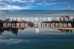 “浦東暗雞街在哪個位置”浦東暗雞街的位置揭秘，深度探索城市隱秘角落