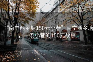 “南寧西鄉(xiāng)塘150元小巷”南寧西鄉(xiāng)塘，一條小巷的150元故事
