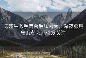 陳楚生歌手舞臺后壓力大，深夜服用安眠藥入睡引發(fā)關(guān)注