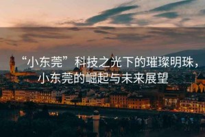 “小東莞”科技之光下的璀璨明珠，小東莞的崛起與未來展望