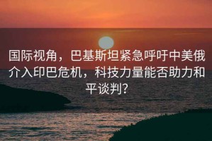 國際視角，巴基斯坦緊急呼吁中美俄介入印巴危機，科技力量能否助力和平談判？