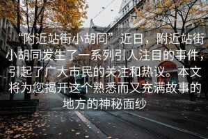 “附近站街小胡同”近日，附近站街小胡同發(fā)生了一系列引人注目的事件，引起了廣大市民的關(guān)注和熱議。本文將為您揭開(kāi)這個(gè)熟悉而又充滿故事的地方的神秘面紗