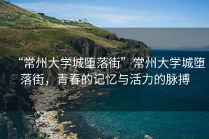 “常州大學(xué)城墮落街”常州大學(xué)城墮落街，青春的記憶與活力的脈搏