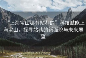 “上海寶山哪有站巷的”科技賦能上海寶山，探尋站巷的新面貌與未來(lái)展望
