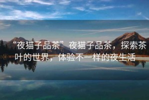 “夜貓子品茶”夜貓子品茶，探索茶葉的世界，體驗不一樣的夜生活
