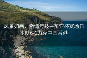 風(fēng)景如畫，激情競(jìng)技—東亞杯賽場(chǎng)日本隊(duì)6-1力克中國(guó)香港
