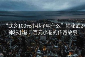 “武鄉(xiāng)100元小巷子叫什么”揭秘武鄉(xiāng)神秘小巷，百元小巷的傳奇故事