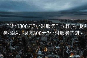 “沈陽300元3小時(shí)服務(wù)”沈陽熱門服務(wù)揭秘，探索300元3小時(shí)服務(wù)的魅力