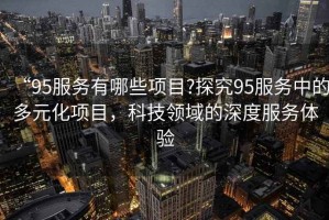 “95服務(wù)有哪些項目?探究95服務(wù)中的多元化項目，科技領(lǐng)域的深度服務(wù)體驗