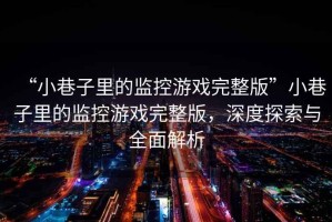 “小巷子里的監(jiān)控游戲完整版”小巷子里的監(jiān)控游戲完整版，深度探索與全面解析