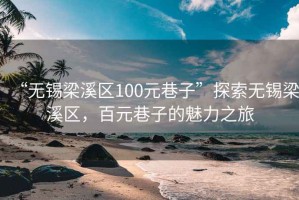 “無(wú)錫梁溪區(qū)100元巷子”探索無(wú)錫梁溪區(qū)，百元巷子的魅力之旅