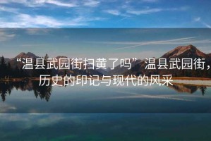 “溫縣武園街掃黃了嗎”溫縣武園街，歷史的印記與現代的風采