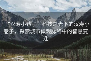“漢壽小巷子”科技之光下的漢壽小巷子，探索城市微觀脈絡(luò)中的智慧變遷