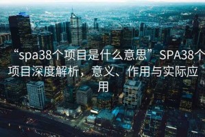 “spa38個項(xiàng)目是什么意思”SPA38個項(xiàng)目深度解析，意義、作用與實(shí)際應(yīng)用
