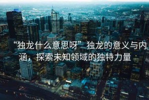 “獨(dú)龍什么意思呀”獨(dú)龍的意義與內(nèi)涵，探索未知領(lǐng)域的獨(dú)特力量