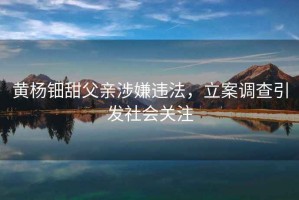 黃楊鈿甜父親涉嫌違法，立案調(diào)查引發(fā)社會關(guān)注