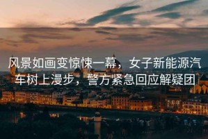 風景如畫變驚悚一幕，女子新能源汽車樹上漫步，警方緊急回應解疑團