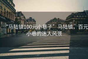 “馬陸鎮(zhèn)100元小巷子”馬陸鎮(zhèn)，百元小巷的迷人風(fēng)景