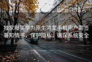 獨家曝買華為原生鴻蒙手機用戶需簽署知情書，保護隱私，確保系統(tǒng)安全