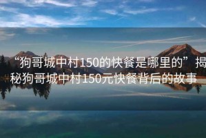 “狗哥城中村150的快餐是哪里的”揭秘狗哥城中村150元快餐背后的故事