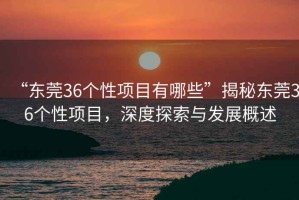 “東莞36個性項目有哪些”揭秘東莞36個性項目，深度探索與發(fā)展概述
