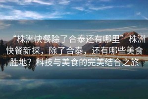 “株洲快餐除了合泰還有哪里”株洲快餐新探，除了合泰，還有哪些美食勝地？科技與美食的完美結(jié)合之旅