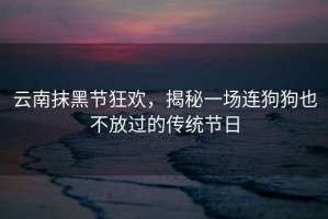 云南抹黑節(jié)狂歡，揭秘一場(chǎng)連狗狗也不放過的傳統(tǒng)節(jié)日
