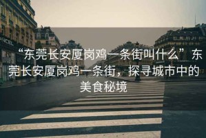 “東莞長安廈崗雞一條街叫什么”東莞長安廈崗雞一條街，探尋城市中的美食秘境