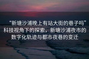 “新塘沙浦晚上有站大街的巷子嗎”科技視角下的探索，新塘沙浦夜市的數(shù)字化軌跡與都市夜巷的變遷