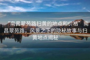 “南昌翠苑路掃黃的地點(diǎn)和價(jià)格”南昌翠苑路，風(fēng)景之下的隱秘故事與掃黃地點(diǎn)揭秘